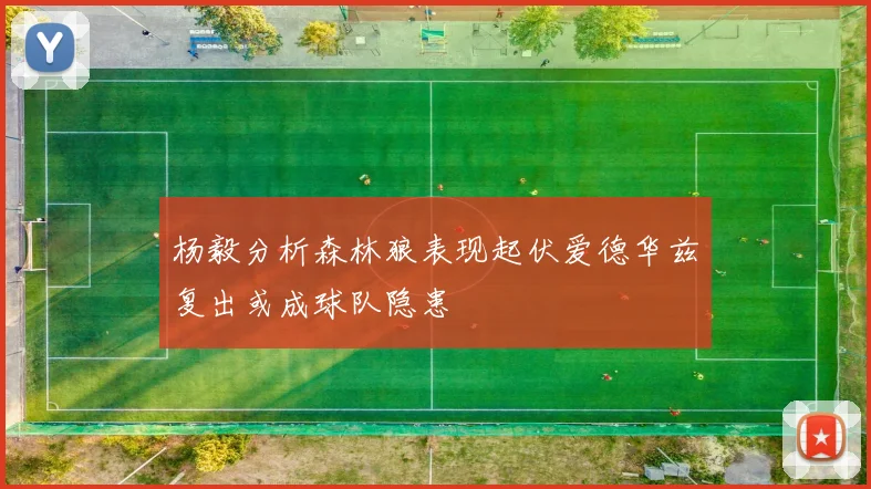 杨毅分析森林狼表现起伏爱德华兹复出或成球队隐患